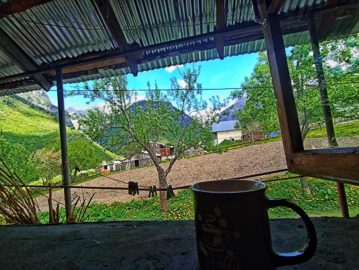 Guesthouse Mamuka Zhabesh Zhabeshi Exteriör bild
