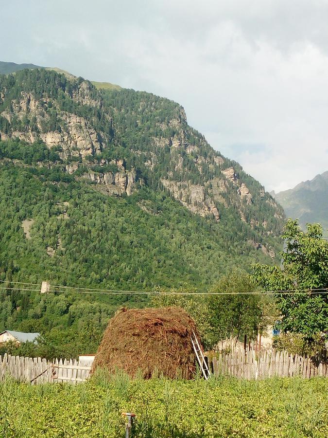 Guesthouse Mamuka Zhabesh Zhabeshi Exteriör bild
