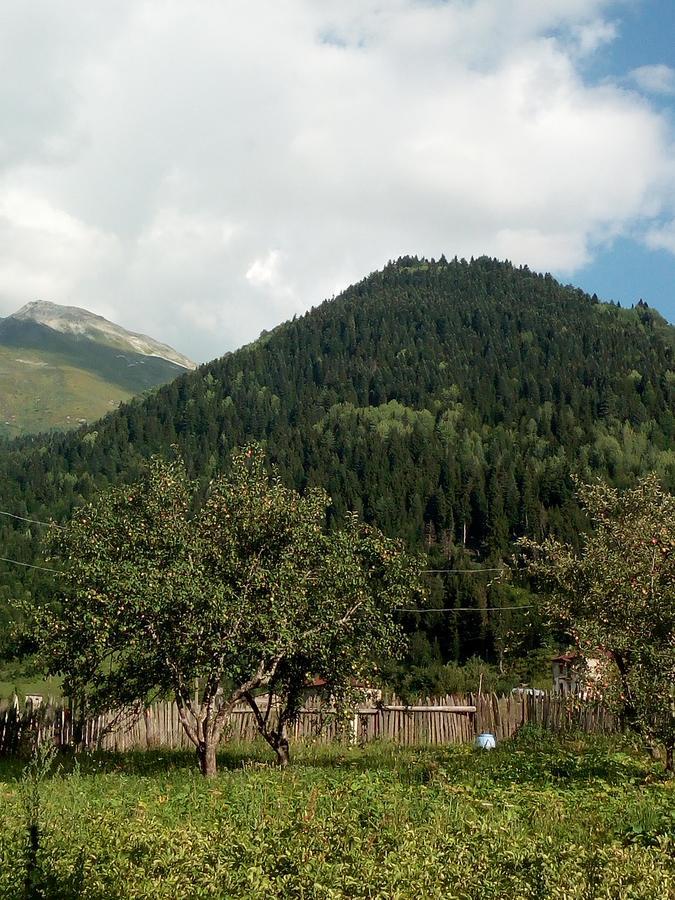 Guesthouse Mamuka Zhabesh Zhabeshi Exteriör bild