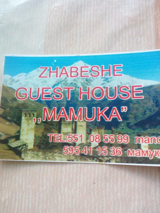 Guesthouse Mamuka Zhabesh Zhabeshi Exteriör bild